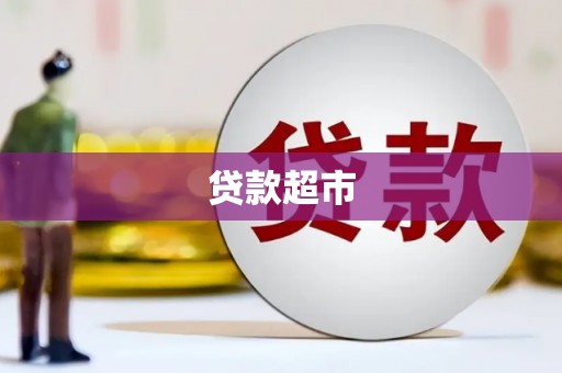 沧县贷款超市