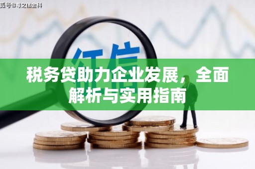 沧县税务贷助力企业发展，全面解析与实用指南
