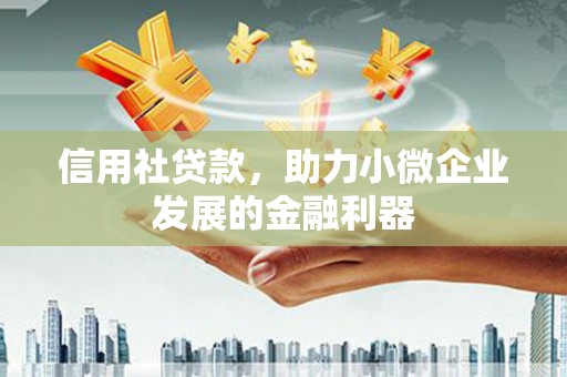 沧县信用社贷款，助力小微企业发展的金融利器