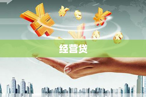 沧县经营贷