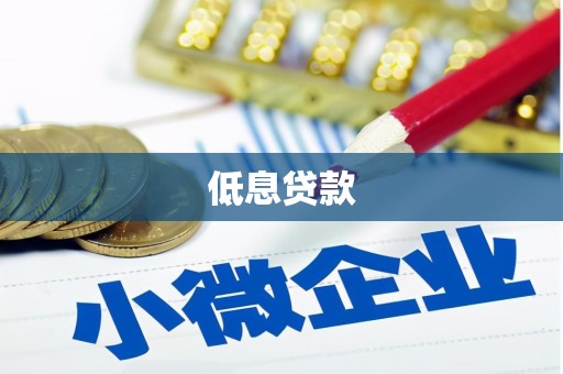 沧县低息贷款