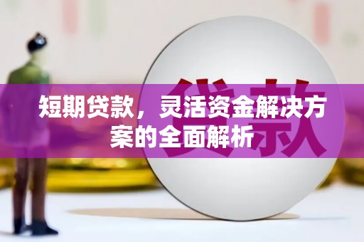 沧县短期贷款，灵活资金解决方案的全面解析