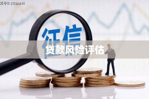 沧县贷款风险评估