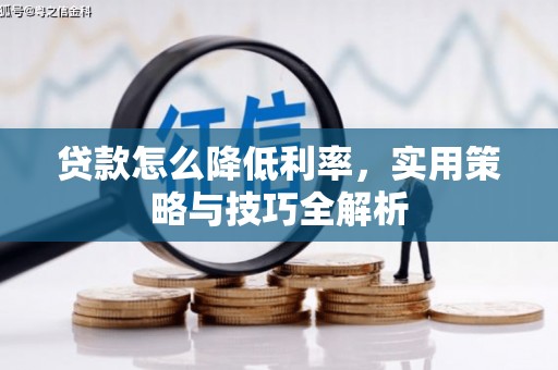 沧县贷款怎么降低利率，实用策略与技巧全解析
