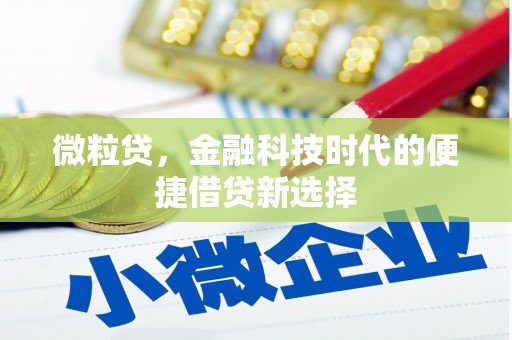 沧县微粒贷，金融科技时代的便捷借贷新选择