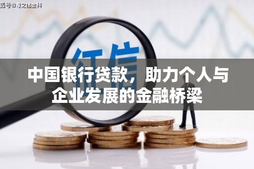 沧县中国银行贷款，助力个人与企业发展的金融桥梁
