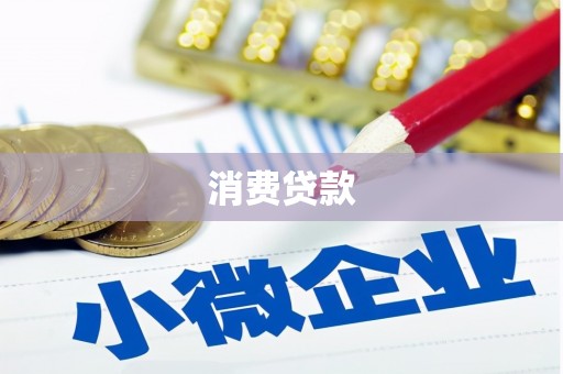 沧县消费贷款