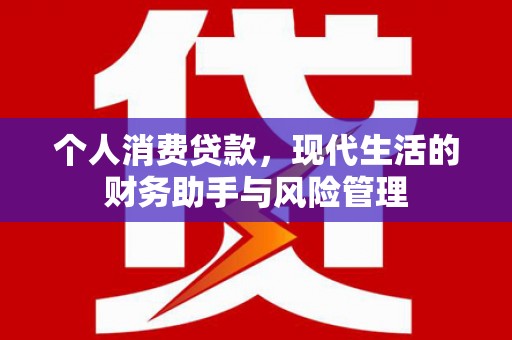 沧县个人消费贷款，现代生活的财务助手与风险管理