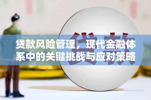 沧县贷款风险管理，现代金融体系中的关键挑战与应对策略