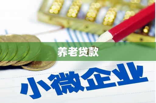 沧县养老贷款
