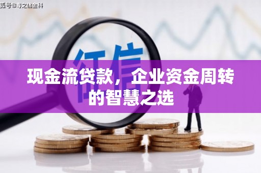 沧县现金流贷款，企业资金周转的智慧之选