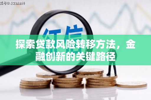沧县探索贷款风险转移方法，金融创新的关键路径