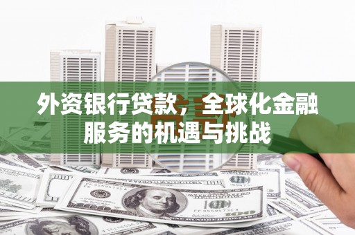沧县外资银行贷款，全球化金融服务的机遇与挑战