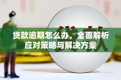 沧县贷款逾期怎么办，全面解析应对策略与解决方案