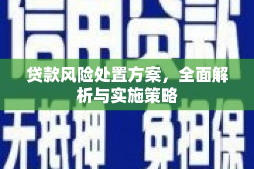 沧县贷款风险处置方案，全面解析与实施策略
