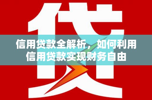 沧县信用贷款全解析，如何利用信用贷款实现财务自由