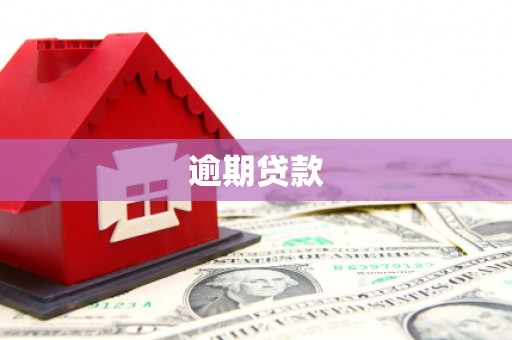 沧县逾期贷款