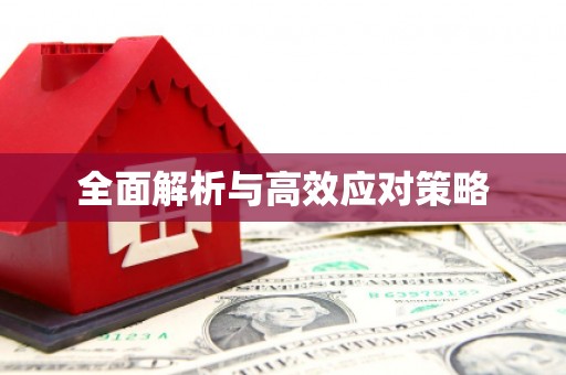沧县全面解析与高效应对策略