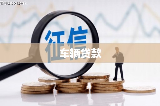 沧县车辆贷款