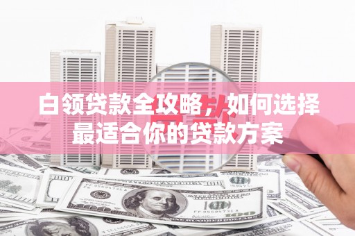 沧县白领贷款全攻略，如何选择最适合你的贷款方案